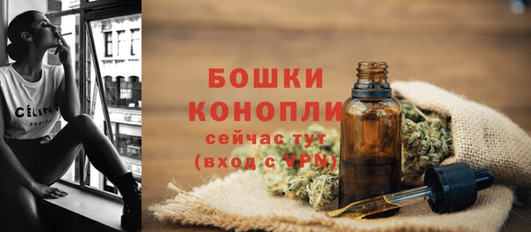 2c-b Богданович