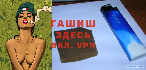 spice Богородск
