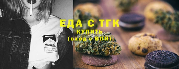spice Богородск