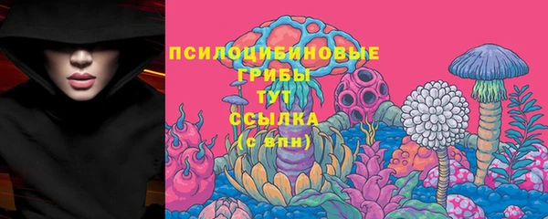 ALPHA-PVP Богородицк