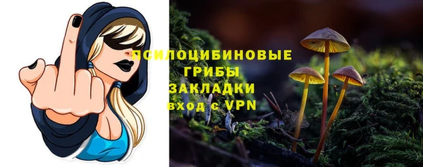 spice Богородск