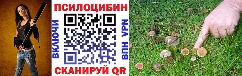 даркнет сайт  omg как войти  Галлюциногенные грибы Psilocybine cubensis  Курильск 